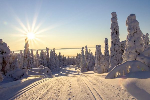 Кракен сайт сегодня