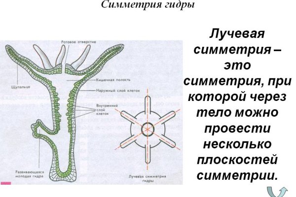 Kraken com зеркало